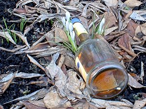 Frühling in Fürth