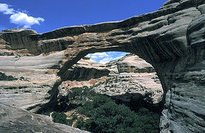 Natural Bridges National Monument