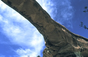 Natural Bridges National Monument