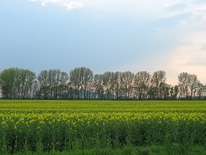 Abendstimmung Abendstimmung