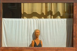 Des Nachbarn Schaufenster Des Nachbarn Schaufenster