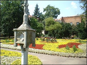 Blütenpracht im Stadtpark