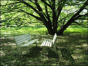 Beschirmte Bänke im Stadtpark zu Forchheim (Oberfr.)