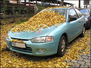 Herbstlaub auf geparktem PKW in der Karolinenstraße