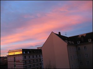 Morgendlicher Schlagseiten-Blick aus meinem Bürofenster