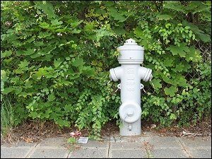 Hydrant