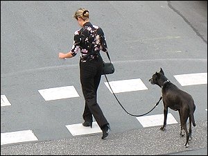Frau mit Hund, die Kreuzung querend Frau mit Hund, die Kreuzung querend