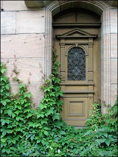 zugewucherter Hauseingang, Karolinenstraße