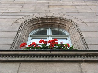 Blumenschmuck am Rathaus