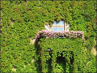 Balkon am Schloß Sommersdorf