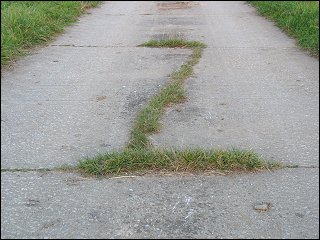 Feldweg mit zackiger Signatur