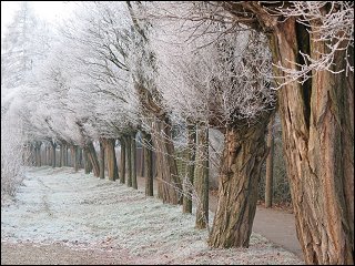 auf dem Heimweg aus Regensburg