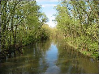 Blick von der Ludwigsbrücke auf die Pegnitz