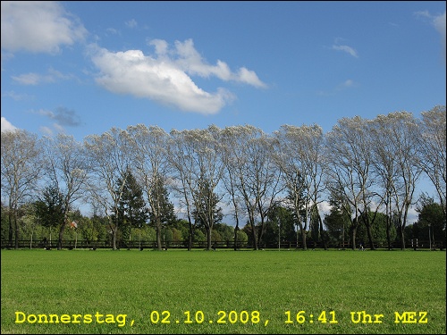 Ein sonniger Oktobertag im Fürther Pegnitz-Wiesengrund