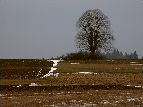 das erste Motiv nach dem Weißabgleich