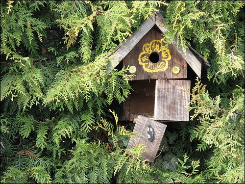 aufgegebenes Vogelhäuschen in aufgegebener Kleingartenkolonie