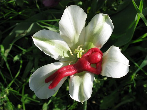von Jenni Beyer aus Babybel-Wachs geformte Figur