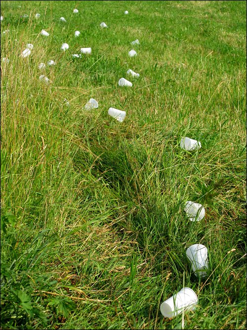 Plastikbecher am Rande der Route des heutigen Fürth-Marathons