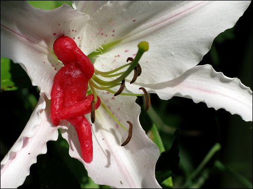 von Jenni Beyer aus Babybel-Wachs geformte Figur