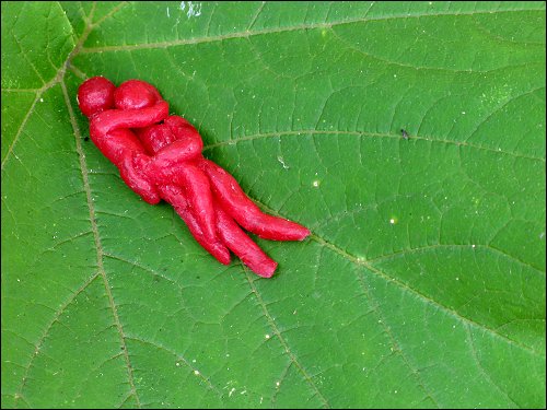 von Jenni Beyer aus Babybel-Wachs geformte Figur