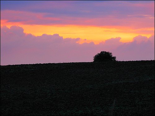 abends um halb neun