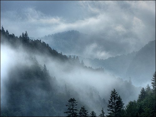 Morgennebel im Vorgebirge