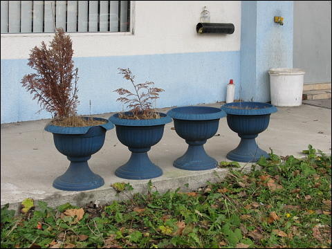 Plastikne Pflanzschalen-Phalanx (Fürth, Cadolzburger Straße)