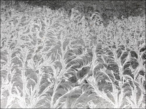 Eisblumen auf Scheunenfenster