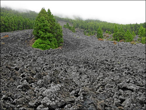 Weiße Wolken wabern über Wälder und Lavafelder