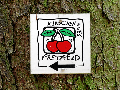 Wanderung entlang des Pretzfelder Kirschenwegs