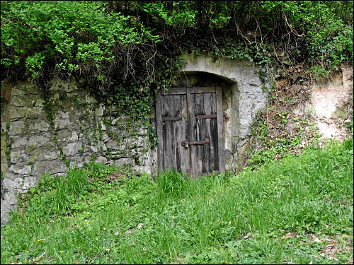 Wanderung entlang des Pretzfelder Kirschenwegs