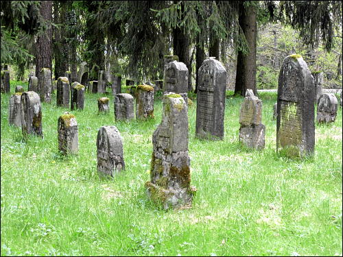 Wanderung entlang des Pretzfelder Kirschenwegs