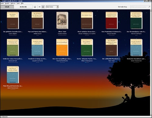 Screenshot der Kindle-Applikation für den PC