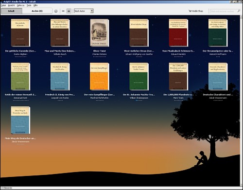 Screenshot der Kindle-Applikation für den PC