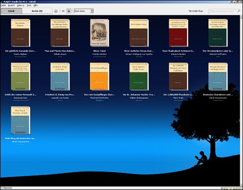 Screenshot der Kindle-Applikation für den PC
