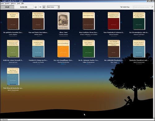 Screenshot der Kindle-Applikation für den PC