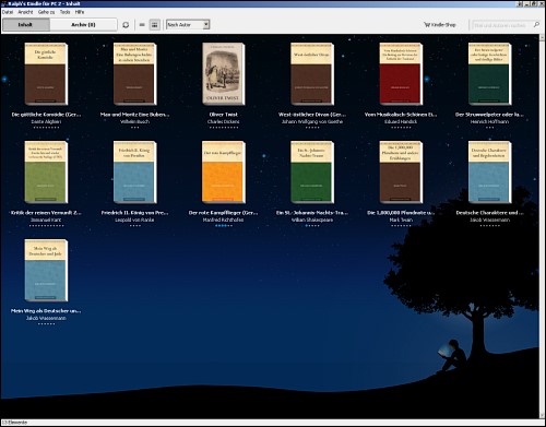 Screenshot der Kindle-Applikation für den PC