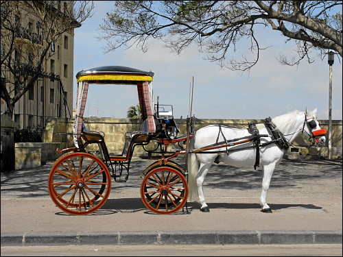 Ein Einspänner in Valletta