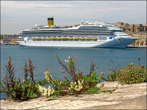 großes Kreuzfahrtschiff im Hafen von Valletta