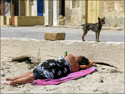 Beim Sonnenbad: schlafende Frau und wacher Hund