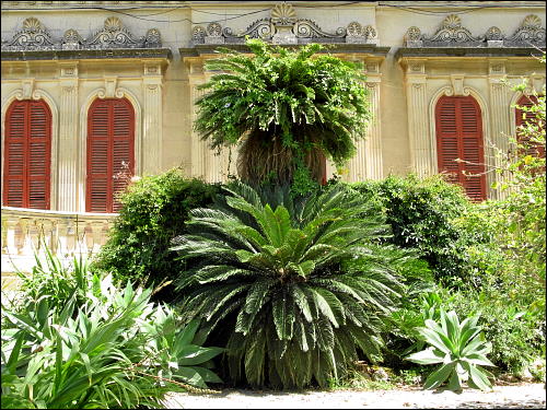 noble Villa in Attard