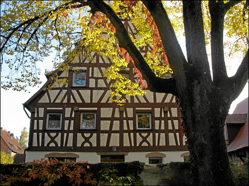 Der bunte Baum im Ganzen