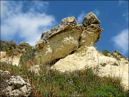 erodierender Sandstein an der Küste Gozos