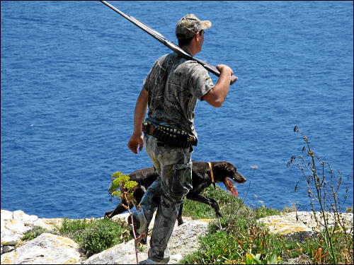 Jäger mit Jagdhund