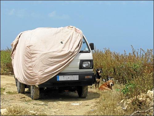 strickendes Frauchen (im Fahrzeug), dösende Hundchen (davor)