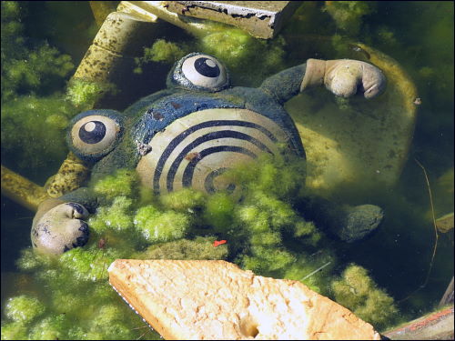 toter Plüsch-Pokemon in einem seit langem aufgelassenen Hotel-Pool