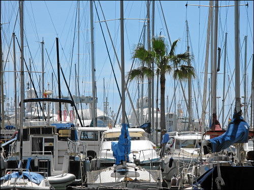 Boote, Boote, Boote im Hafen von Palma de Mallorca