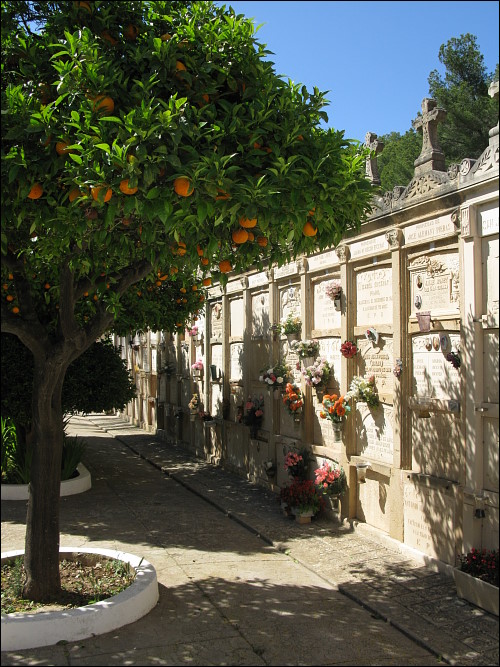 im Friedhof von Andratx