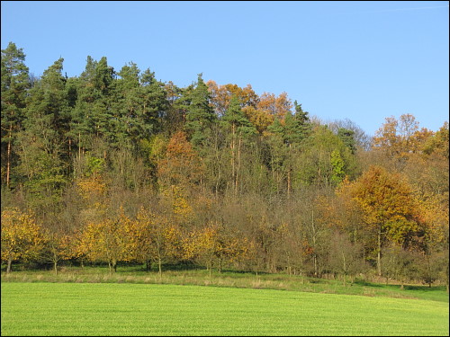 Kleines Klassentreffen: Wanderung mit Schulfreunden bei Kirchröttenbach