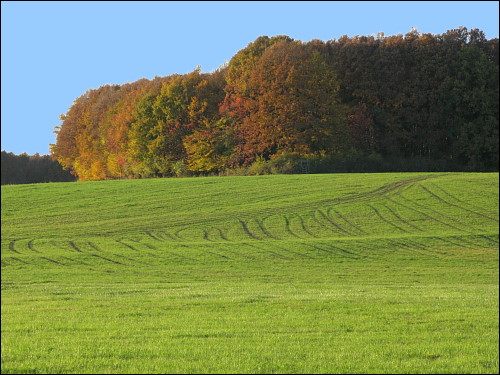 Kleines Klassentreffen: Wanderung mit Schulfreunden bei Kirchröttenbach